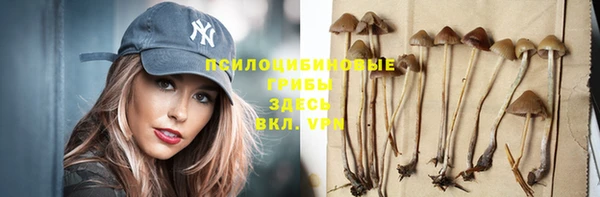 apvp Зерноград