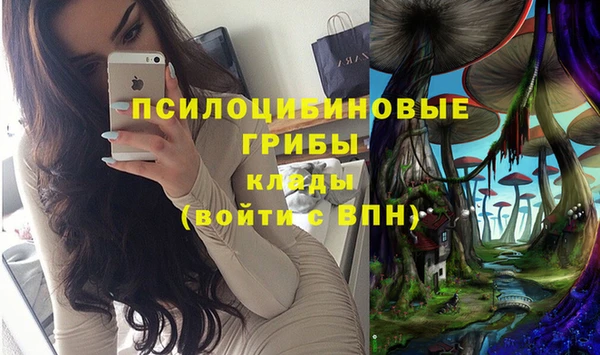 apvp Зерноград