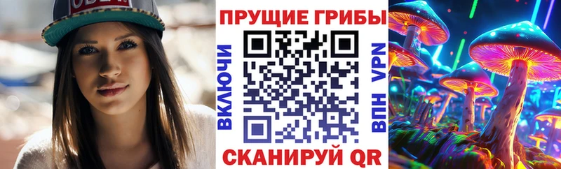 Купить где  Енисейск  Псилоцибиновые грибы Magic Shrooms 